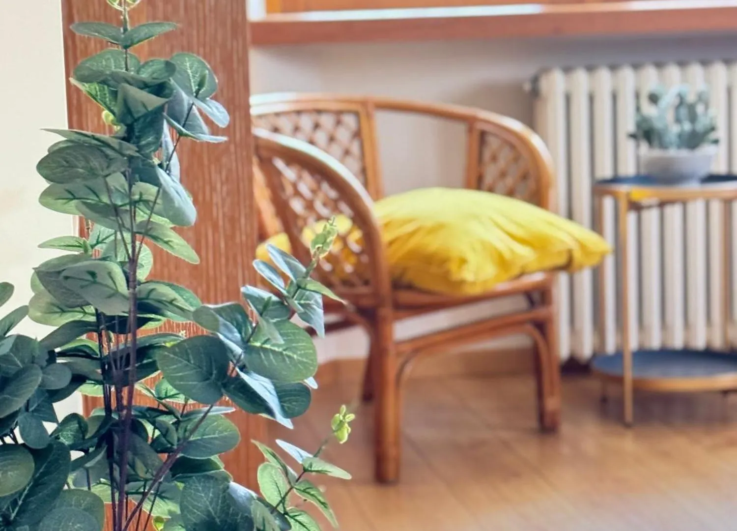Residenza Bouganville 토리델베나코